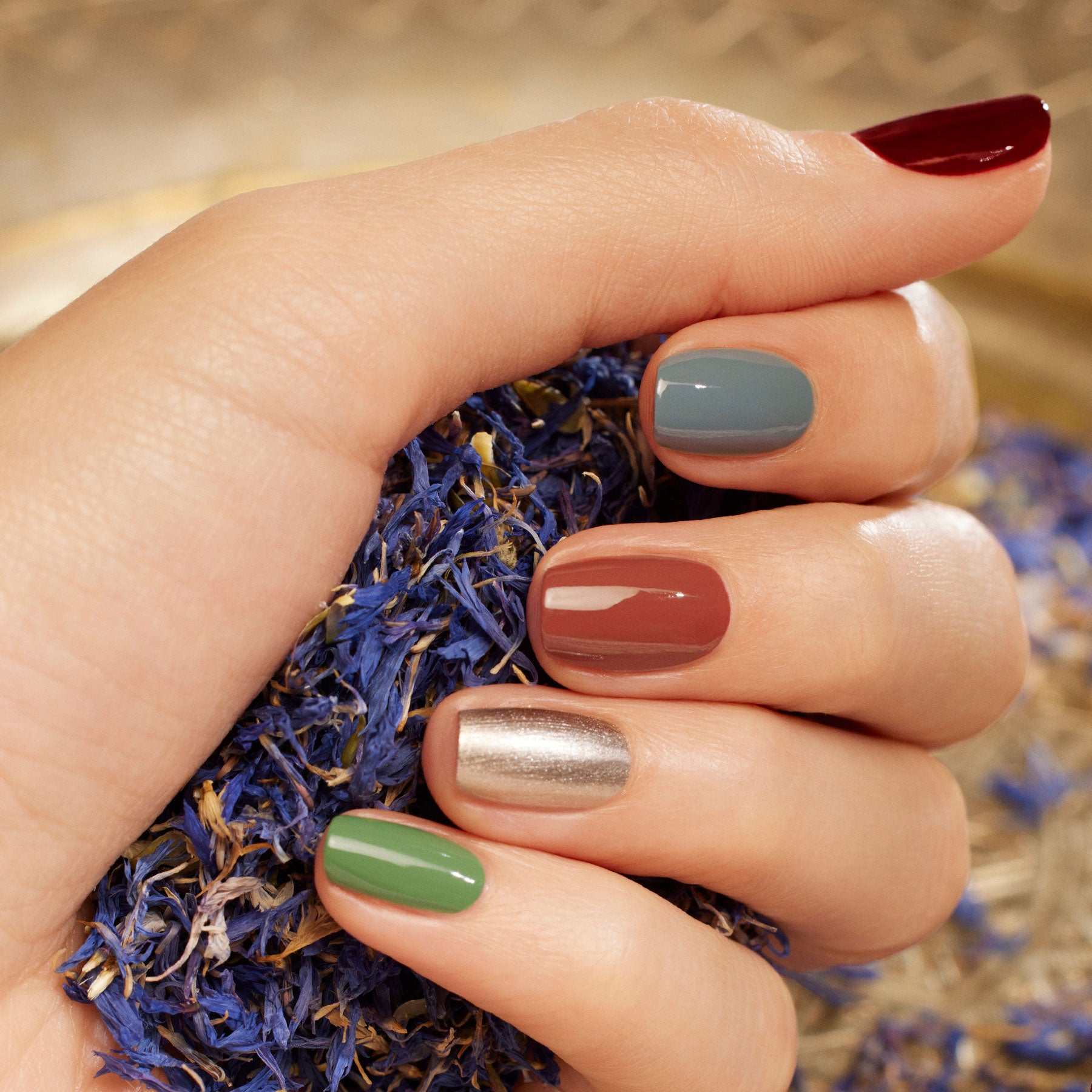 Manucurist Spice Lover Green kit nail art 5 couleurs