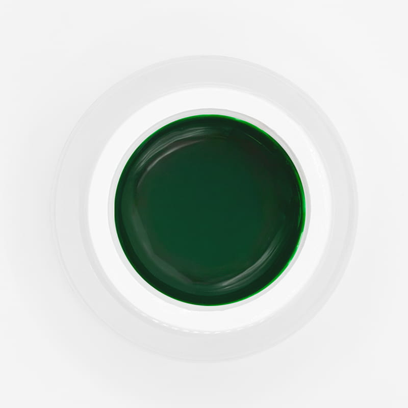 ElyaMaje Perfect French Green n°06 gel paint 5g