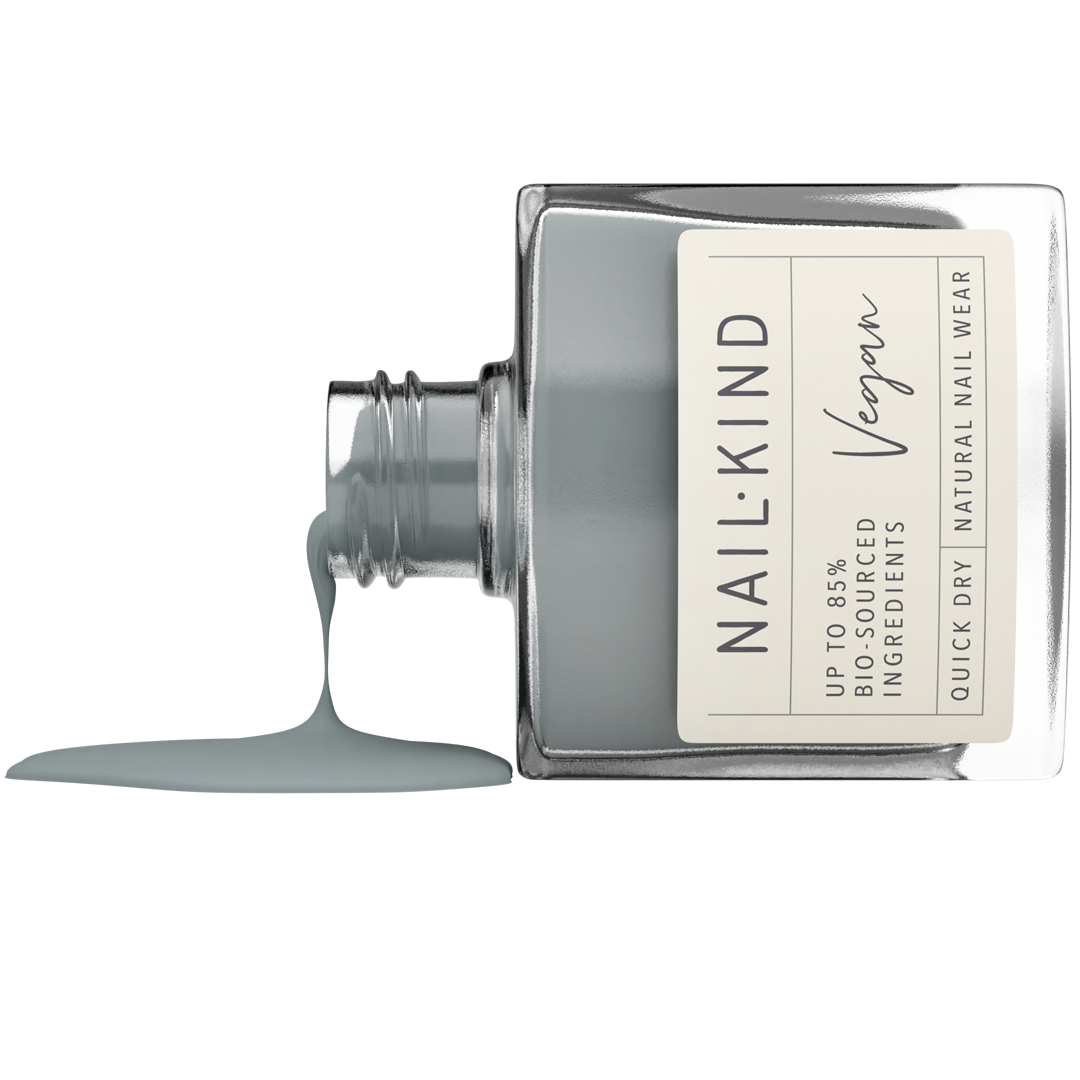 NAIL KIND The Colour Squad Mr. Rock Solid vernis gris métallisé