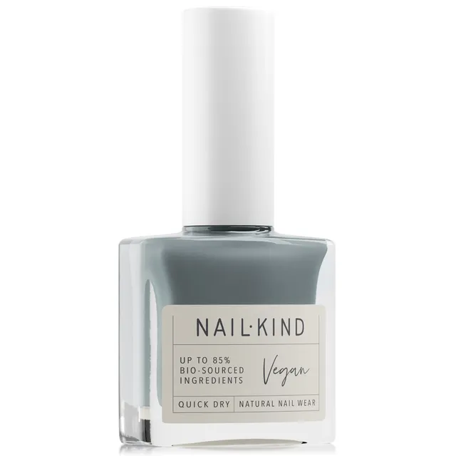 NAIL KIND The Colour Squad Mr. Rock Solid vernis gris métallisé