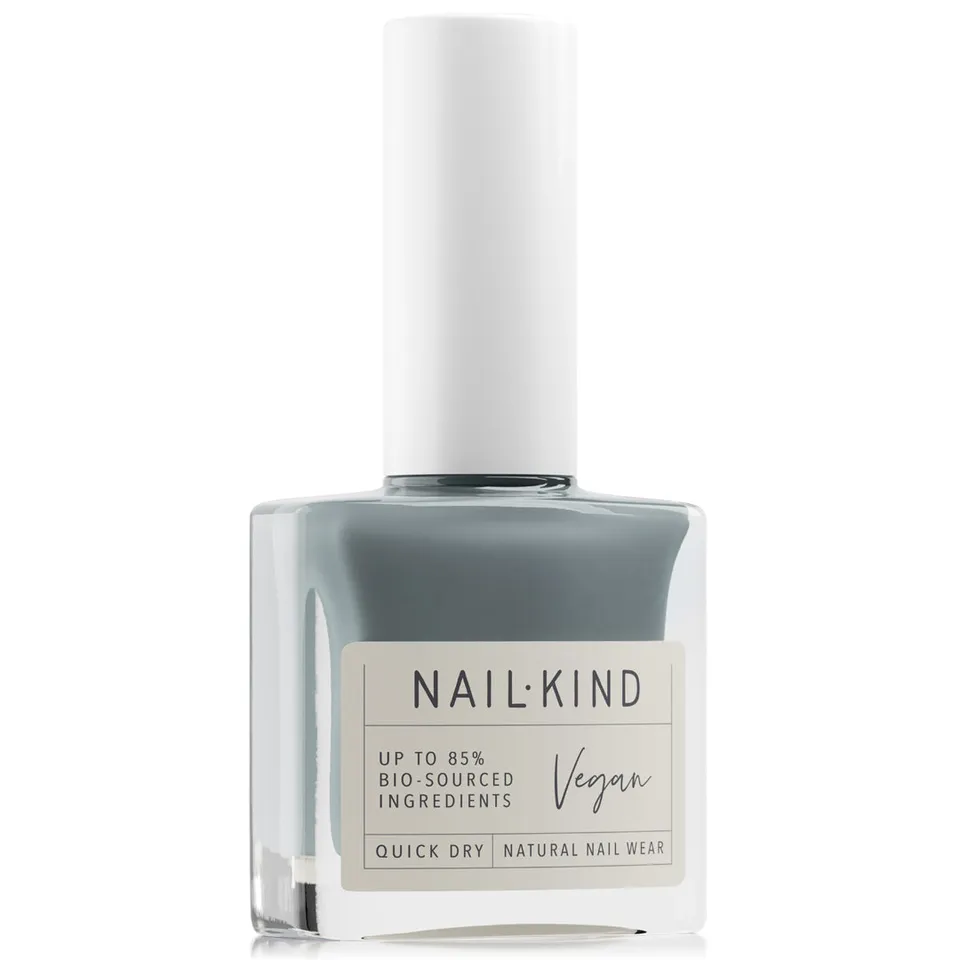 NAIL KIND The Colour Squad Mr. Rock Solid vernis gris métallisé