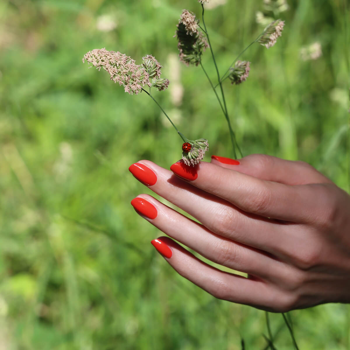 Manucurist Green Red Coral vernis à ongles rouge corail