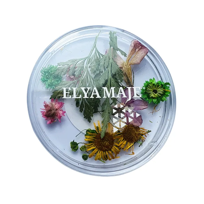 Elyamaje Flower 1 fleurs séchées déco ongle