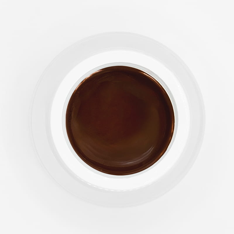Elyamaje Perfect French 05 Choco gel paint marron 5g