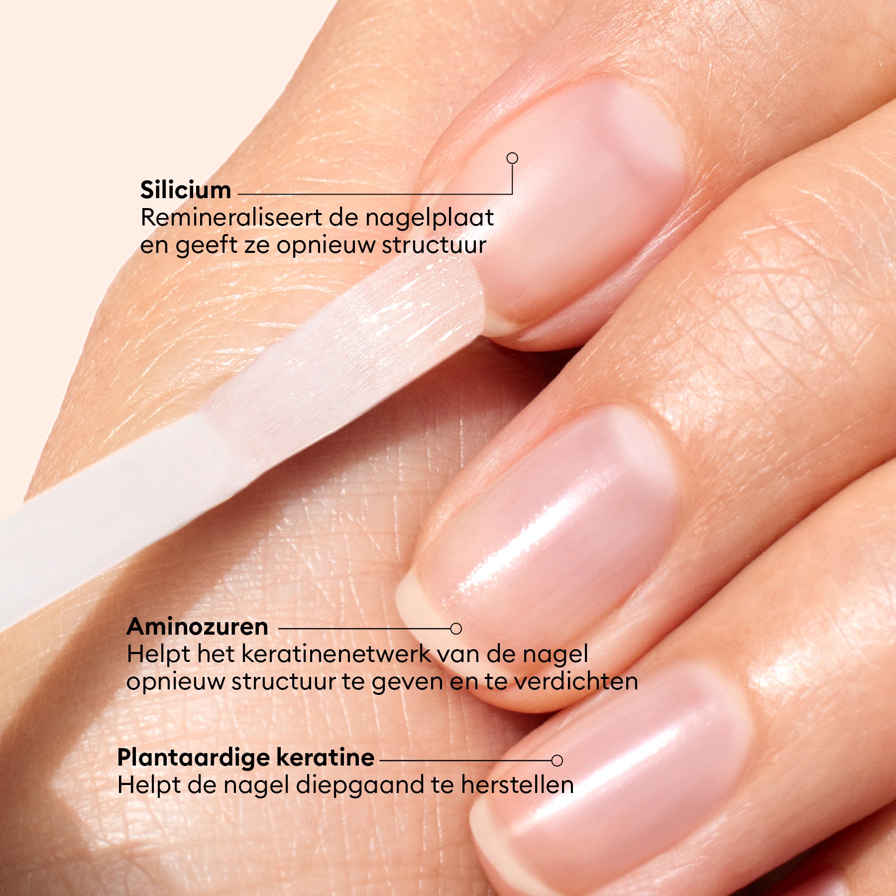 Manucurist Vernis Amer soin ongles anti-rongement